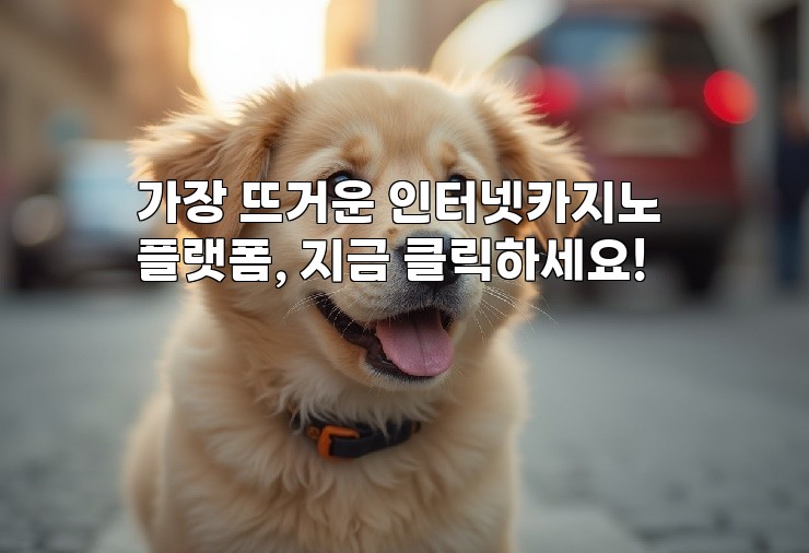 가장 뜨거운 인터넷카지노 플랫폼, 지금 클릭하세요!